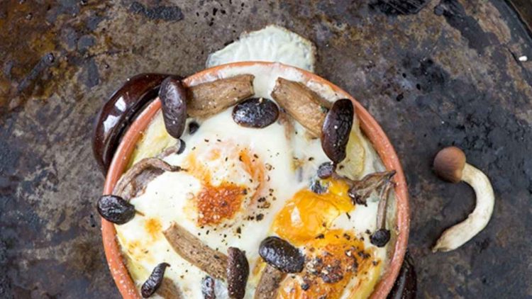 Œufs cocotte aux champignons