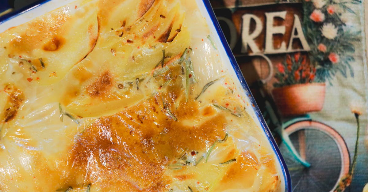 découvrez notre gratin de fenouil cuit à la friteuse à air, une recette légère et savoureuse pour un repas sain et gourmand.