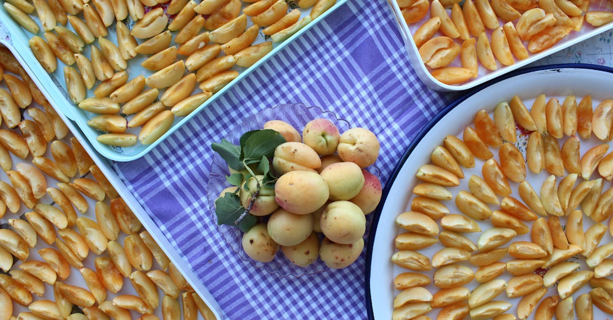 découvrez nos muffins au yaourt et aux abricots, moelleux et savoureux, parfaits pour un goûter sain et gourmand.