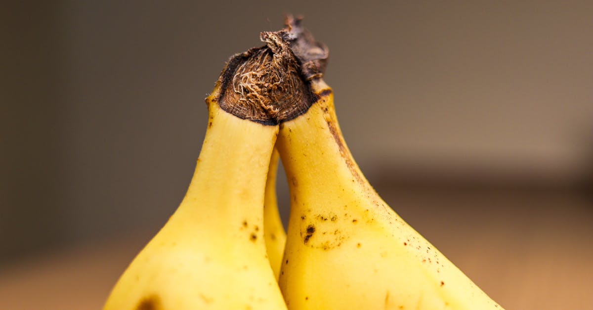 découvrez la liqueur de banane, une boisson douce et fruitée idéale pour cocktails et desserts, apportant une saveur exotique et sucrée à toutes vos créations.