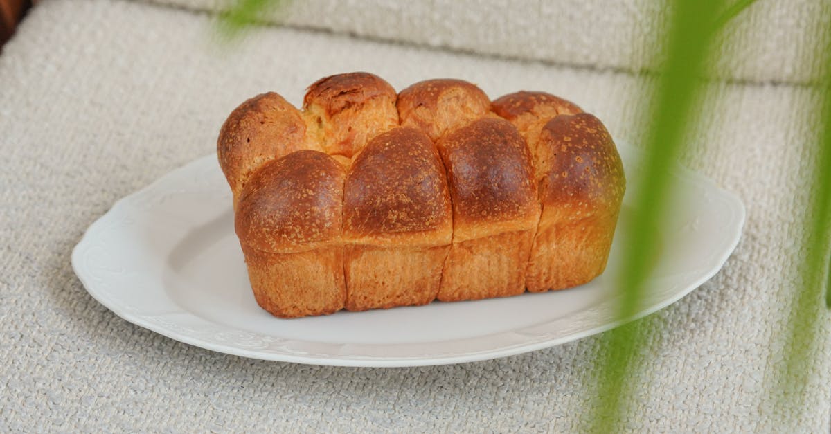 découvrez notre recette facile et rapide de brioche moelleuse, parfaite pour le petit-déjeuner ou le goûter. apprenez à préparer une brioche maison délicieuse et légère.