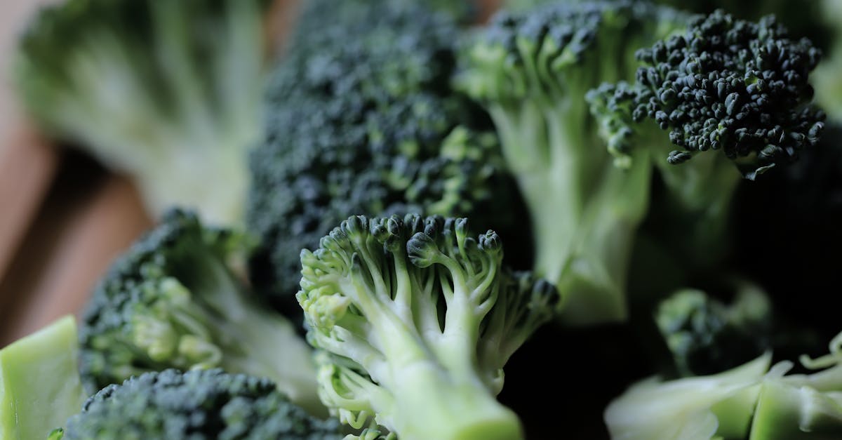 délicieuses galettes de brocoli et pommes de terre, parfaites pour un repas sain et savoureux, faciles à préparer et idéales pour toute la famille.