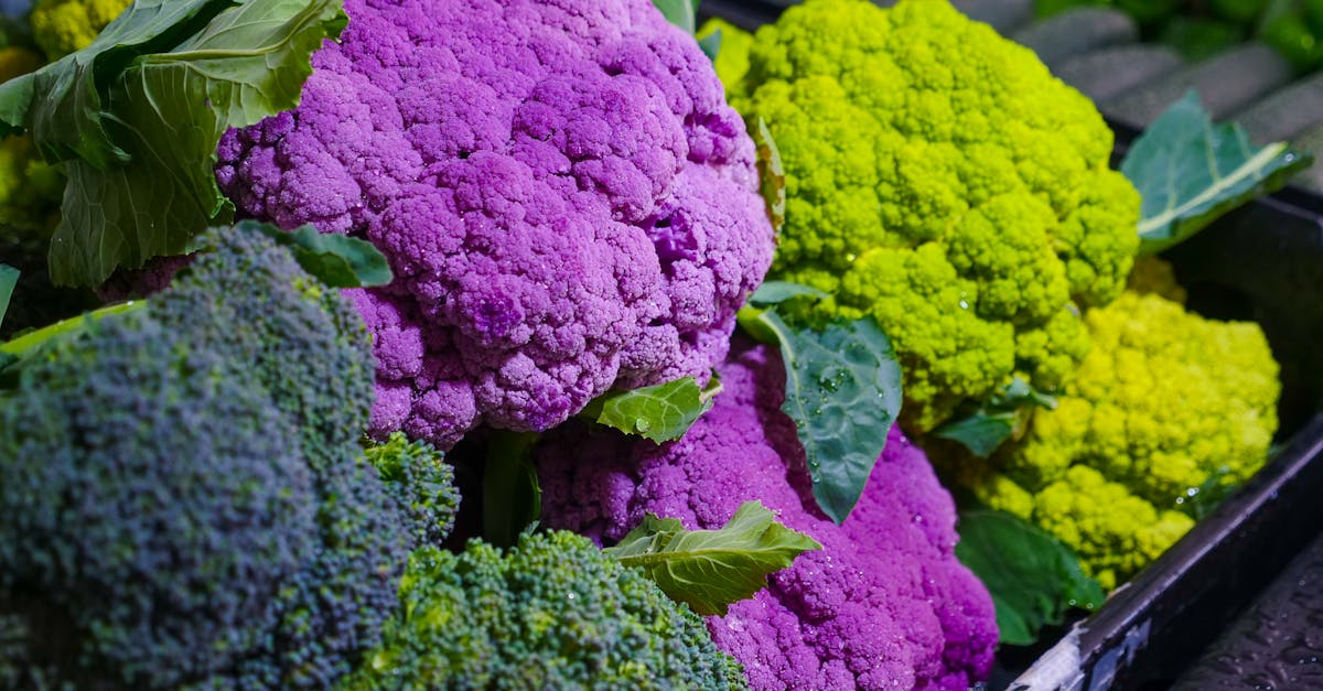 découvrez notre recette de gâteau au chou-fleur et brocoli, une délicieuse façon saine et originale de déguster vos légumes.