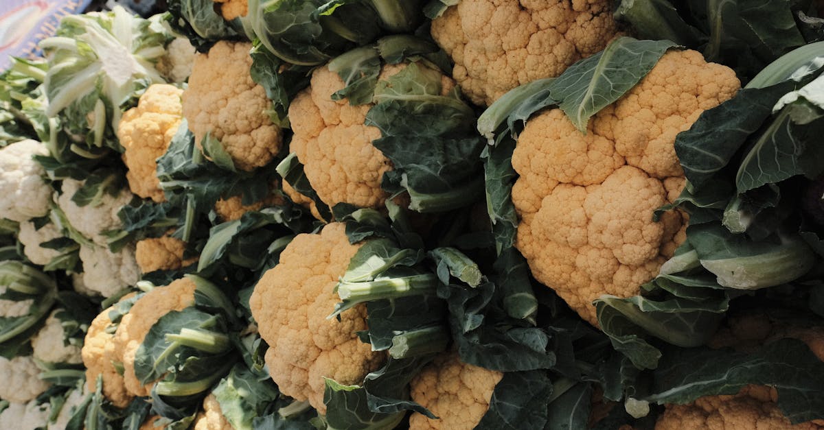 recette facile de beignets de chou-fleur au parmesan, croustillants à l'extérieur et savoureux à l'intérieur, parfaits pour un apéritif ou un accompagnement gourmand.