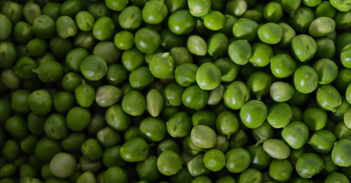 découvrez notre gratin de chou-fleur et pois, une recette savoureuse et légère parfaite pour un repas sain et gourmand.