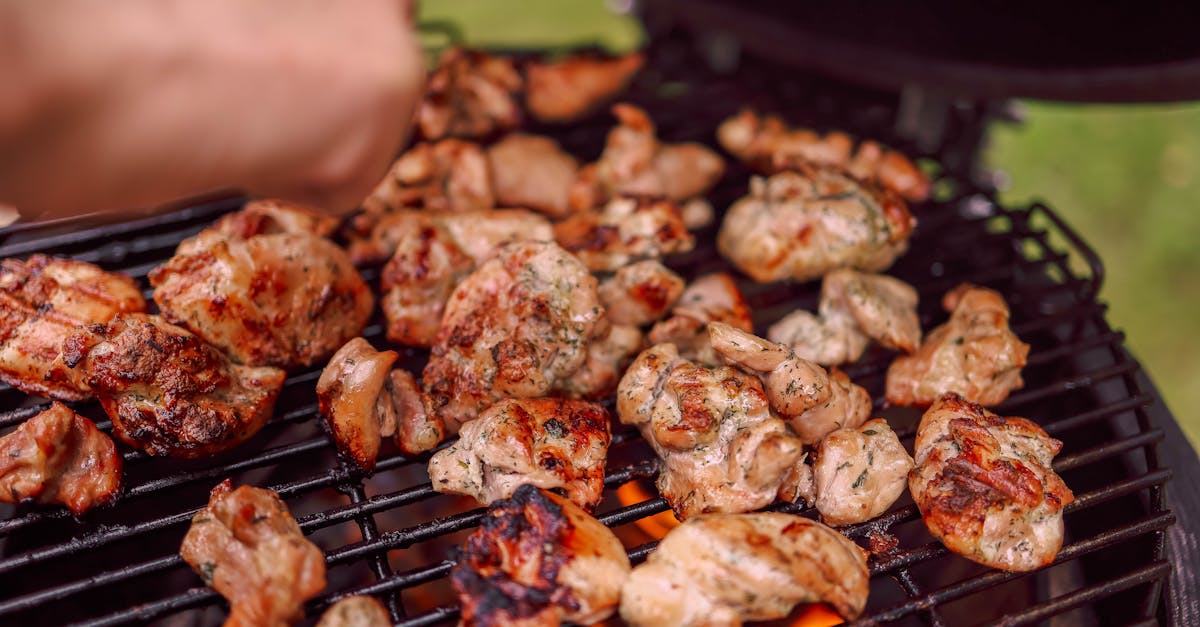 sac de cuisson pour poulet : cuisinez facilement des volailles juteuses et savoureuses grâce à notre sac de cuisson pratique et rapide.