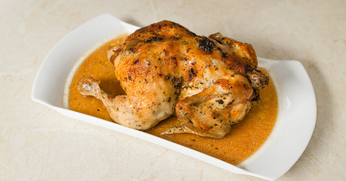 sac de cuisson pour poulet : cuisinez facilement un poulet juteux et savoureux au four grâce à notre sac de cuisson pratique et rapide.