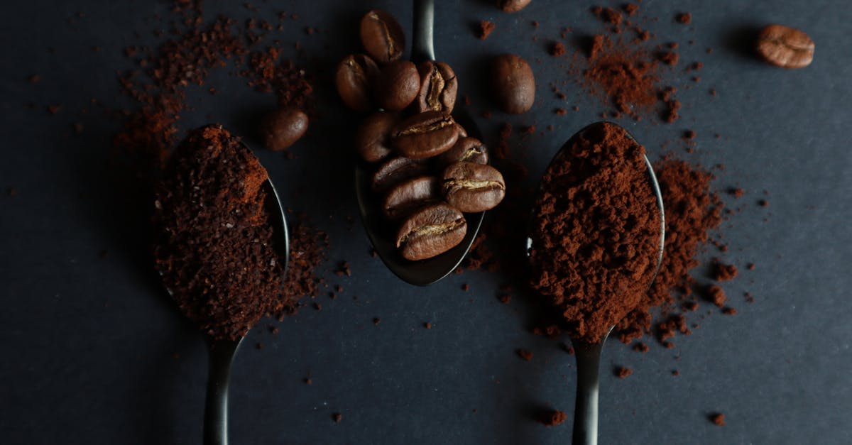 découvrez notre extrait de café de haute qualité, parfait pour sublimer vos recettes et boissons avec un goût intense et authentique.