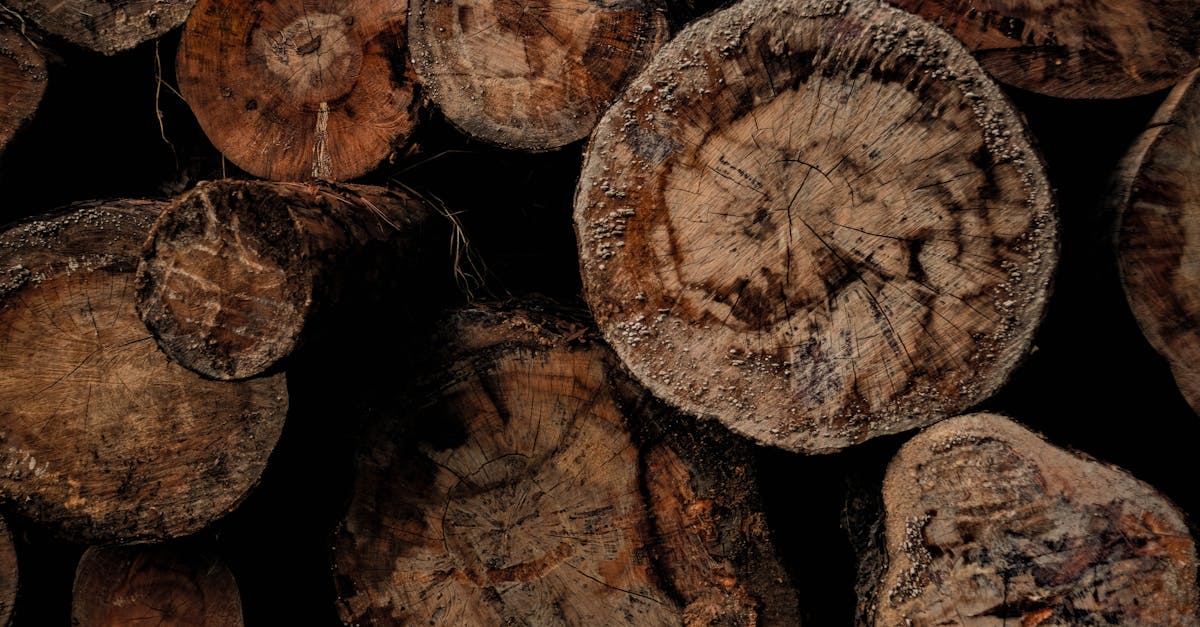 découvrez notre bûche de noël au café, une gourmandise parfaite pour les fêtes alliant saveurs riches et douceur festive.