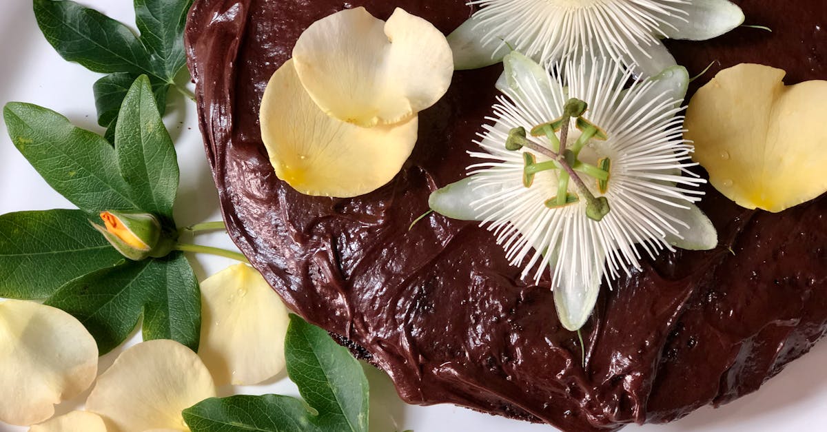 découvrez notre recette de gâteau au chocolat sans farine, riche et fondant, idéale pour les amateurs de dessert gourmand et sans gluten.