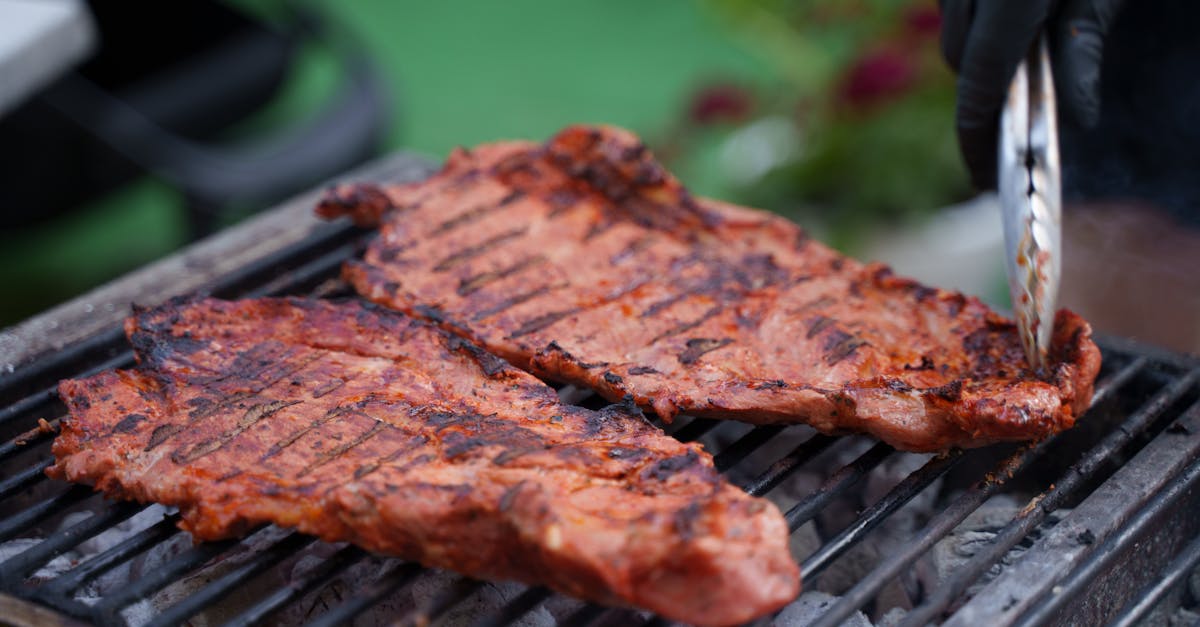 découvrez notre marinade grecque authentique, parfaite pour relever vos viandes et légumes avec des saveurs méditerranéennes fraîches et aromatiques.