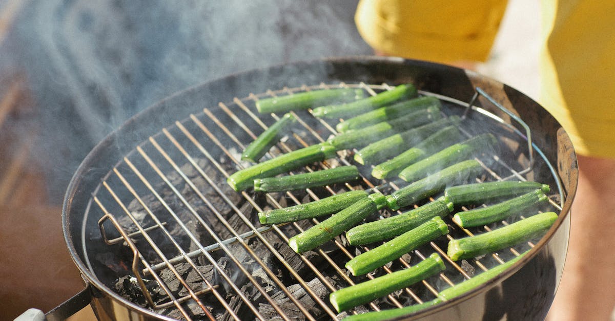 découvrez une recette savoureuse de roulés de courgettes grillées garnis de saumon fumé, une entrée légère et raffinée parfaite pour vos repas estivaux.