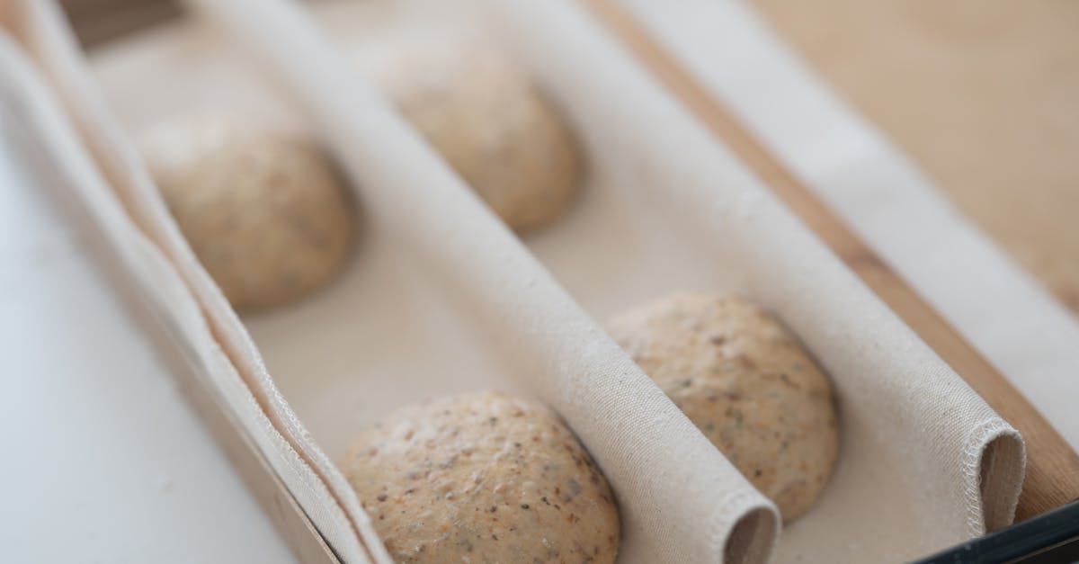 découvrez comment préparer facilement votre propre levure de boulanger maison pour des pains frais et savoureux, avec une méthode simple et naturelle.