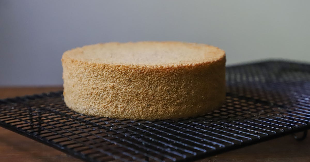 découvrez notre gâteau léger et nature, parfait pour une pause gourmande sans culpabilité.