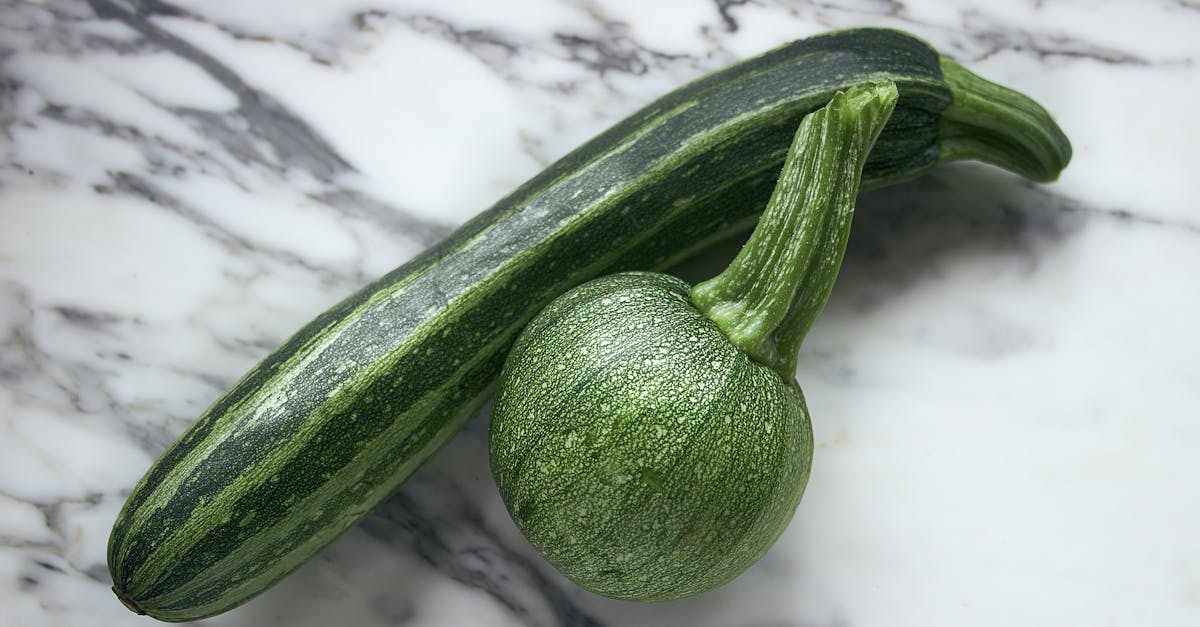 découvrez notre tarte légère au saumon et courgettes, une recette saine et savoureuse parfaite pour un repas équilibré.