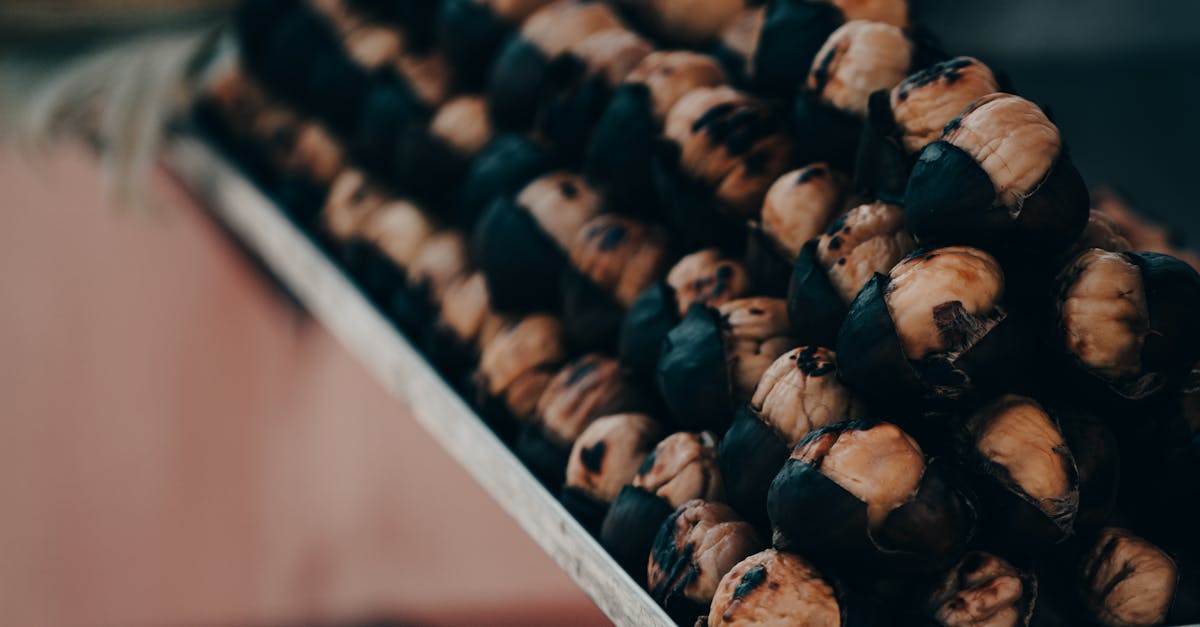 découvrez comment préparer rapidement et facilement des châtaignes au micro-ondes, une méthode pratique pour savourer ce délicieux fruit d'automne.