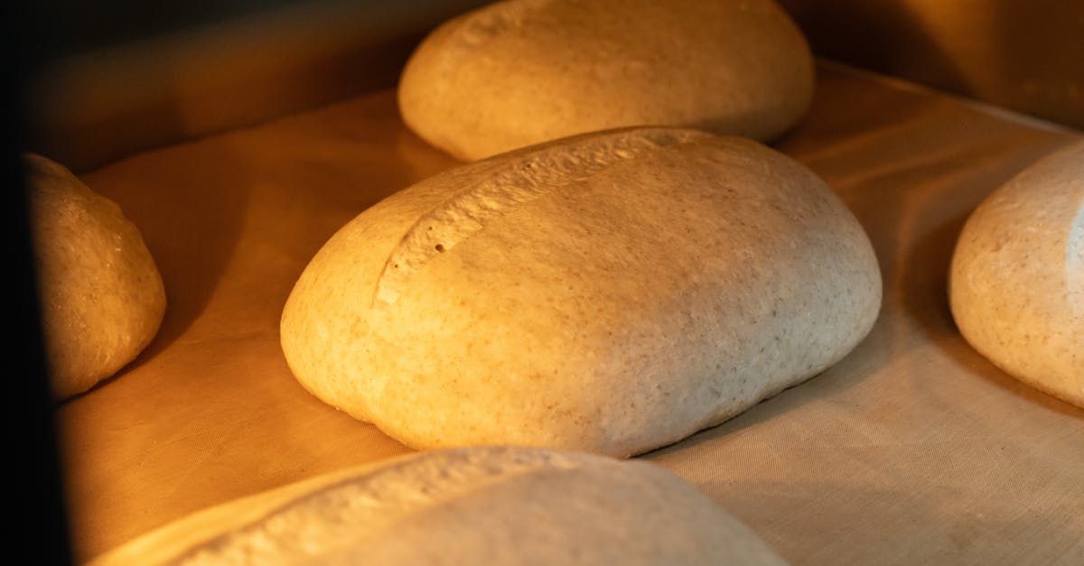 découvrez des recettes de pain sans levure simples et savoureuses, parfaites pour des pains rapides et moelleux faits maison.