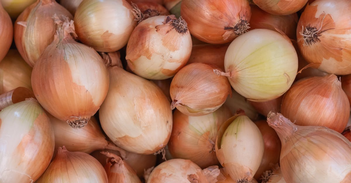 découvrez la saveur douce et intense de l'oignon confit, parfait pour sublimer vos plats avec une touche sucrée et caramélisée.