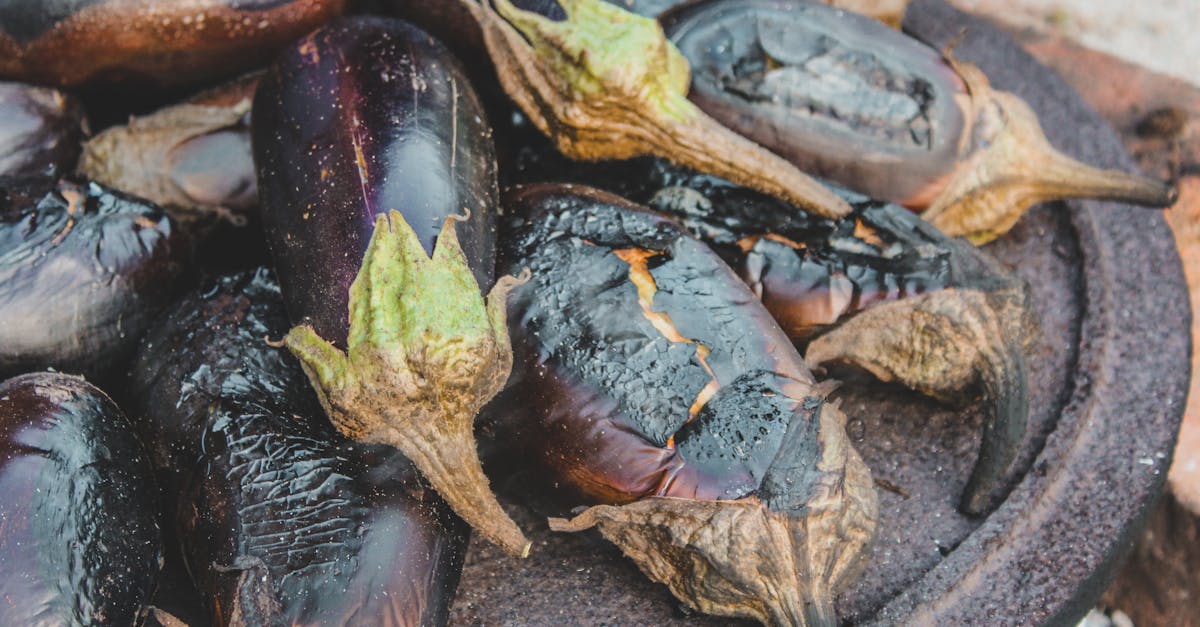 découvrez notre recette simple et savoureuse d'aubergines sautées à la poêle, parfaite pour un accompagnement croustillant et plein de saveurs.