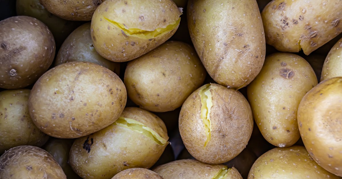 découvrez comment préparer des pommes de terre parfaites et savoureuses rapidement grâce à la cocotte-minute. recettes simples et astuces pour une cuisson rapide et uniforme.