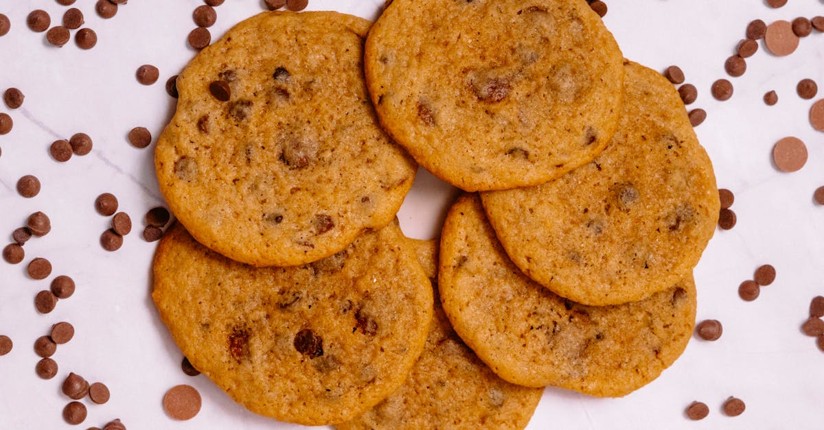 découvrez notre recette rapide de cookies aux pépites de chocolat, parfaits pour une gourmandise maison en quelques minutes.