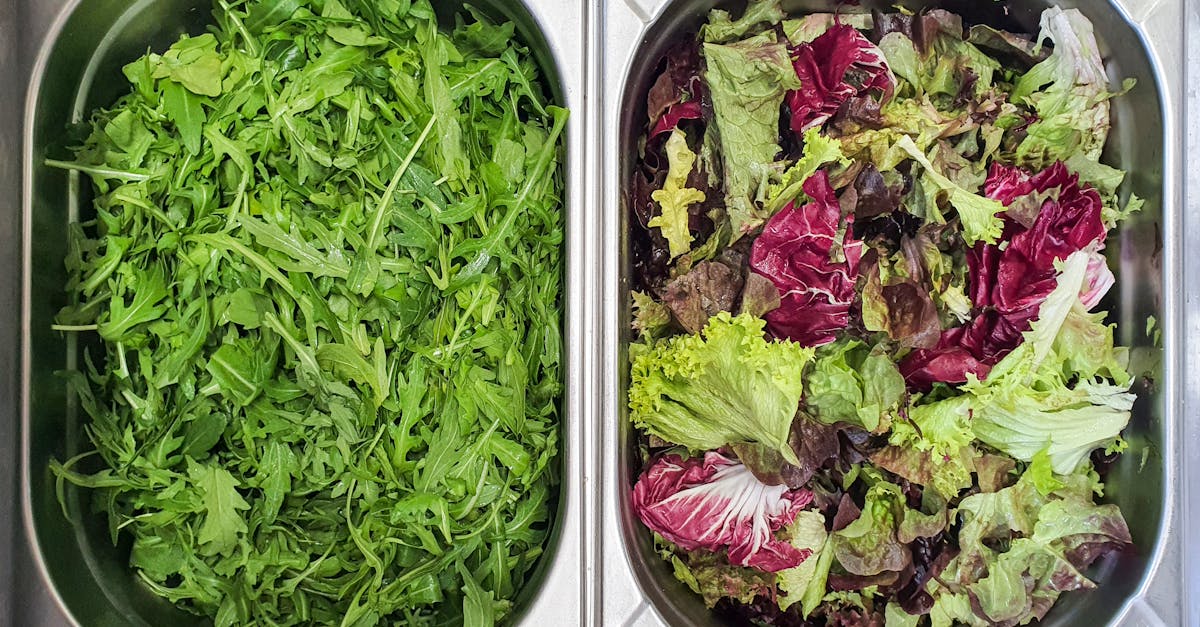 découvrez des astuces de cuisine pour préparer le radicchio : conseils de conservation, méthodes de cuisson et idées de recettes savoureuses.