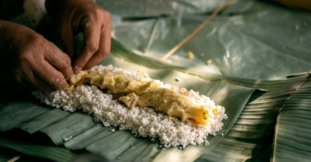 découvrez tout sur le rice cake : bienfaits, recettes et astuces pour intégrer ce gâteau de riz léger et savoureux dans votre alimentation quotidienne.