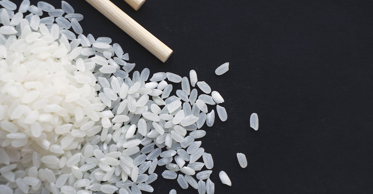 découvrez le régime à base de riz : un plan alimentaire simple et sain pour favoriser la perte de poids et améliorer votre bien-être général.