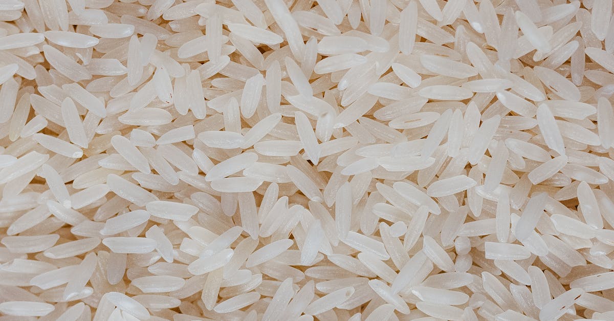 découvrez tout sur le riz : variétés, bienfaits, conseils de cuisson et recettes savoureuses pour sublimer ce grain universel.