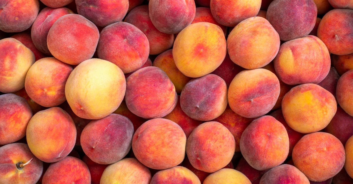 découvrez notre recette irrésistible de crumble aux pêches rôties, un dessert gourmand alliant douceur fruitée et croquant délicieux.