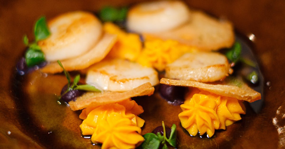 découvrez tout sur les coquilles saint-jacques : recettes savoureuses, conseils de préparation et bienfaits nutritionnels de ce délicieux fruit de mer.