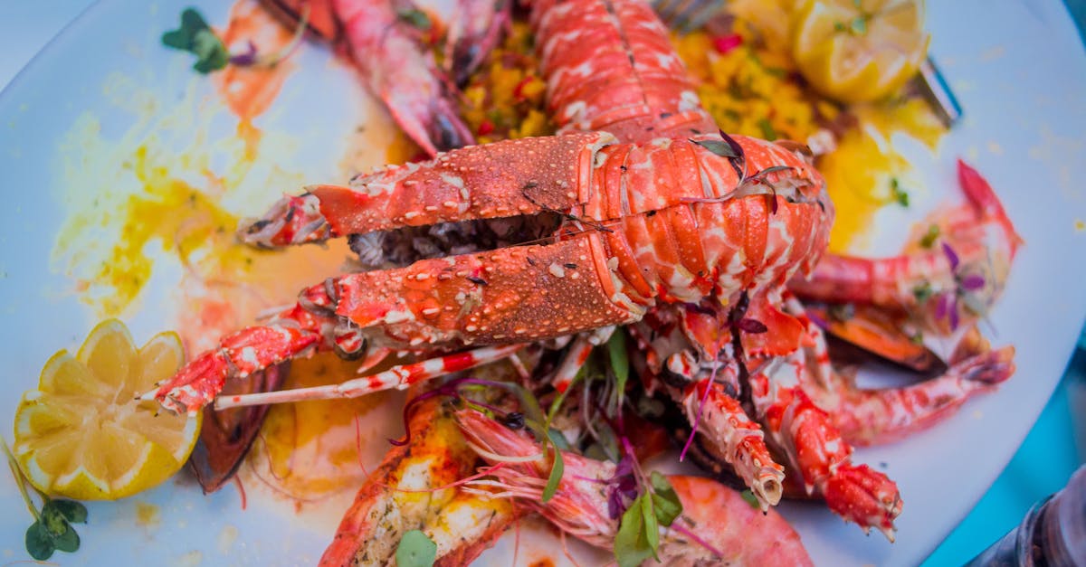 découvrez notre terrine de fruits de mer, une délicieuse préparation alliant fraîcheur et saveurs marines pour un apéritif ou une entrée raffinée.