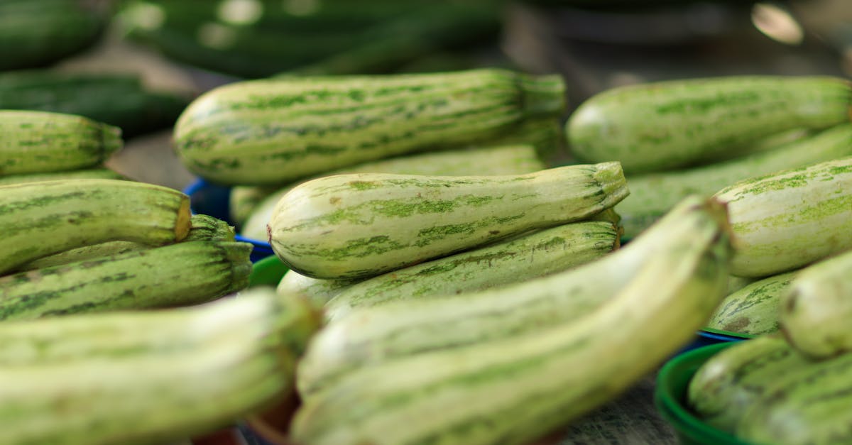 découvrez une recette savoureuse de lasagne à la courgette cuite à la poêle, rapide et facile à préparer pour un repas léger et gourmand.