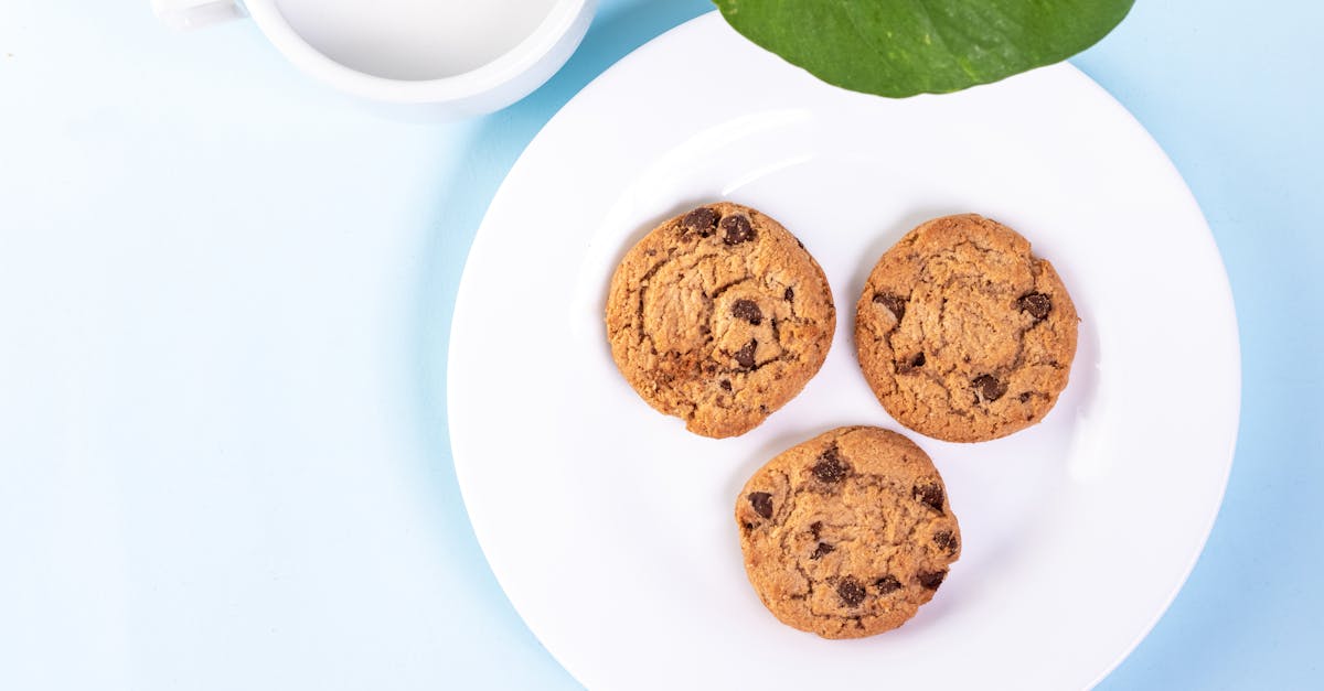 découvrez nos délicieux soft milk cookies, des biscuits moelleux au bon goût de lait, parfaits pour une pause gourmande.