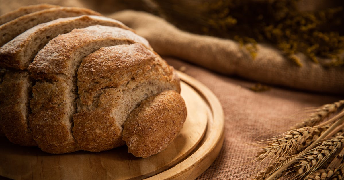 découvrez notre sélection spéciale de races de chiens, parfaite pour tous les amateurs et futurs propriétaires à la recherche du compagnon idéal.