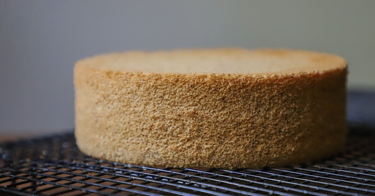 découvrez notre recette facile de gâteau éponge moelleux, parfait pour toutes vos occasions. suivez nos étapes simples pour réussir une préparation délicieuse et légère.