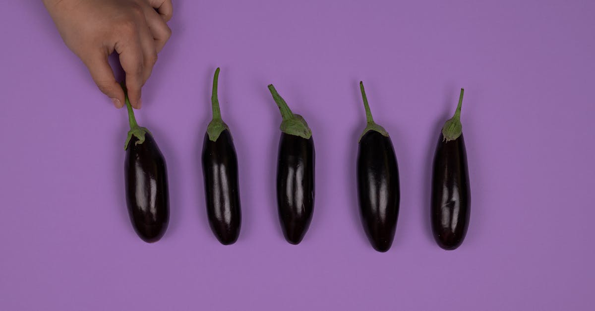 découvrez comment préparer de délicieuses aubergines farcies croustillantes et savoureuses grâce à la friteuse à air. une recette saine et facile pour un repas gourmand.