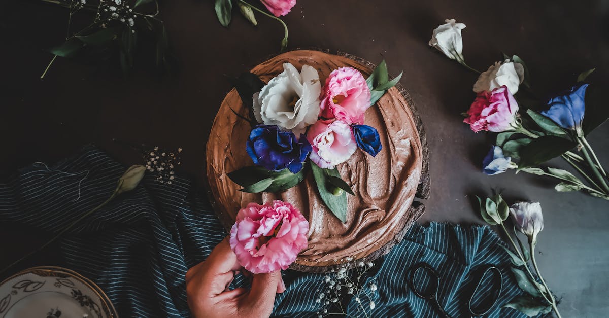 découvrez notre délicieuse recette de gâteau vegan, saine et gourmande, parfaite pour toutes les occasions !