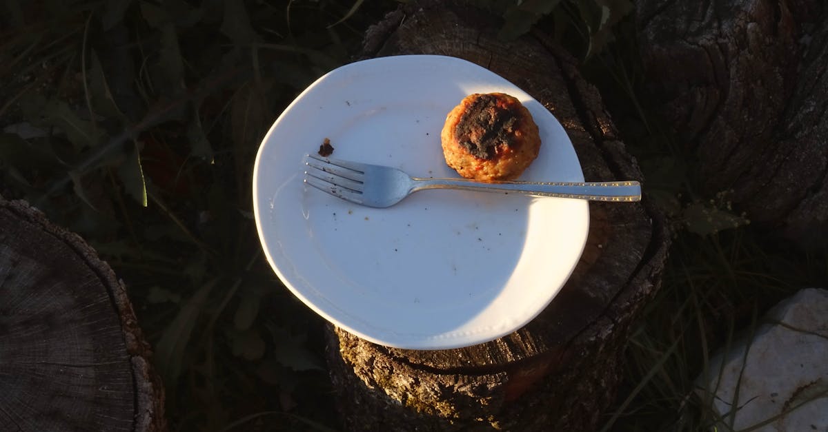 découvrez une recette facile de boulettes de légumes sans œufs, cuites au four pour une option saine et savoureuse.
