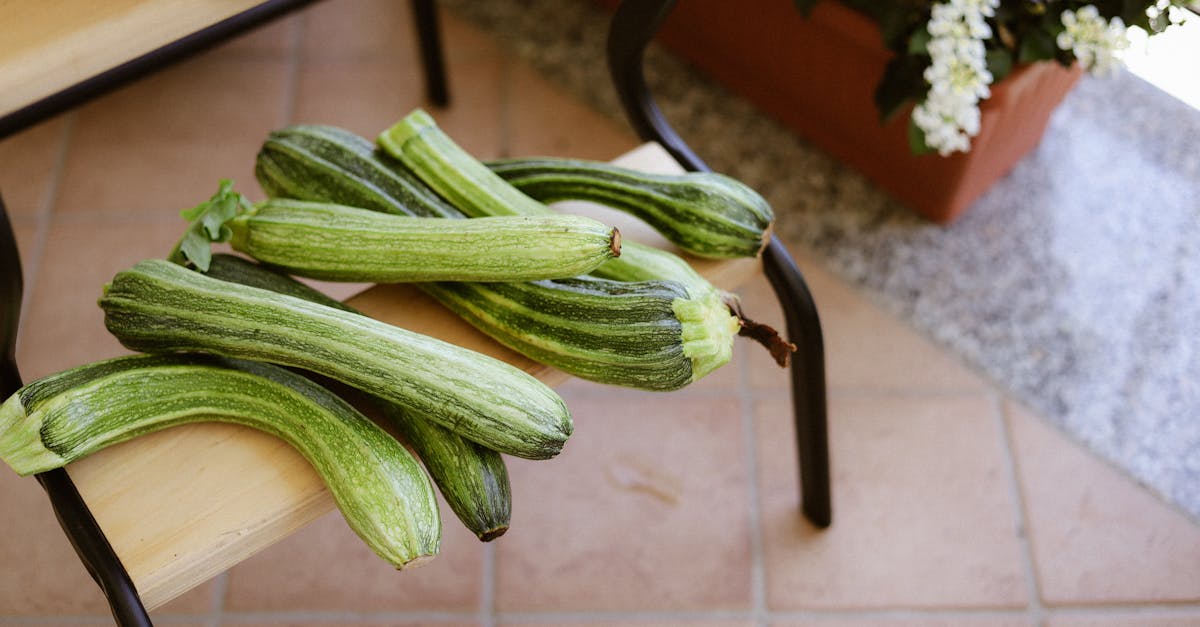 découvrez notre recette facile et délicieuse de beignets de courgettes croustillants, parfaits en accompagnement ou en apéritif.