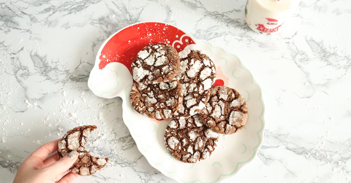 découvrez nos délicieuses recettes de biscuits de noël au chocolat, parfaites pour partager la magie des fêtes en famille.