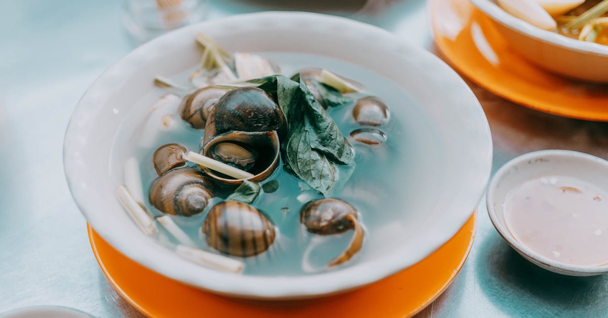 découvrez nos délicieuses recettes d'apéritifs aux escargots, parfaits pour surprendre vos invités avec une touche gourmande et originale.