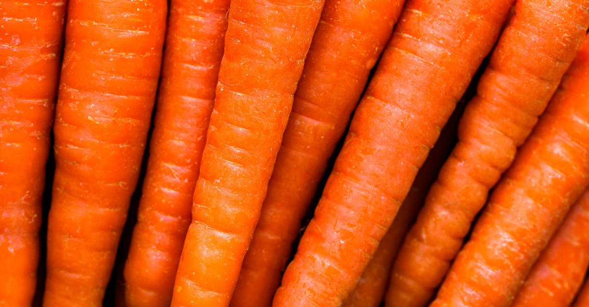 Accueil 12 découvrez notre recette savoureuse de hachis parmentier au carrot, un plat réconfortant et sain alliant légumes frais et viande tendre.