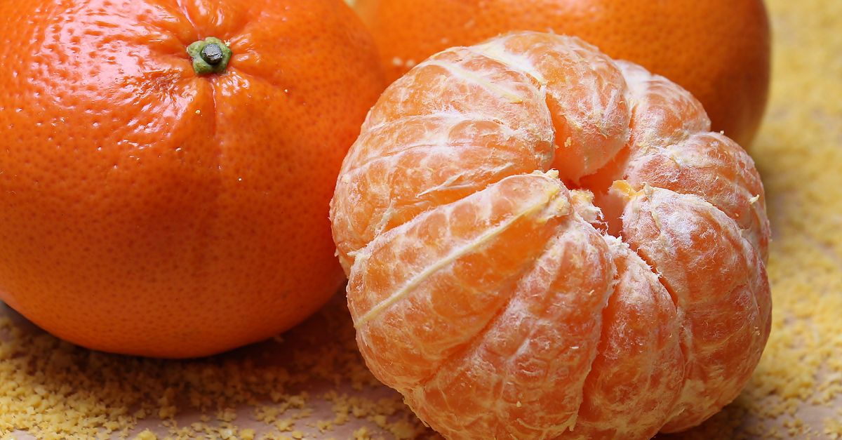 découvrez notre recette délicieuse et moelleuse de gâteau mandarine sans œufs, parfaite pour un dessert léger et fruité.