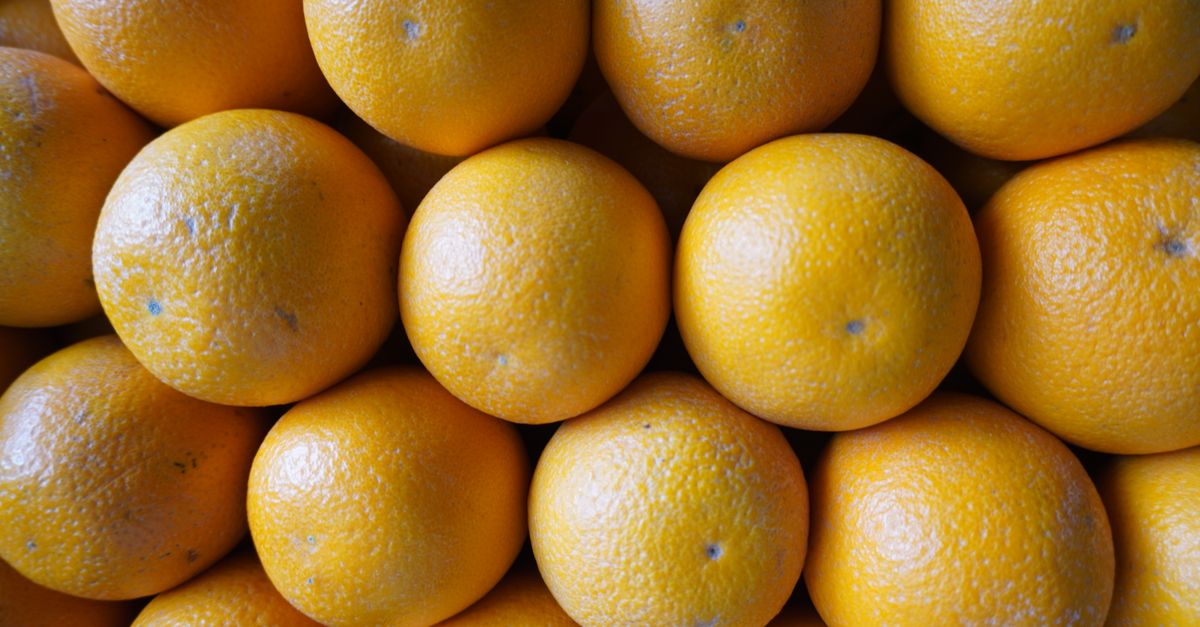 découvrez notre délicieuse tarte à l'orange sans œufs, parfaite pour une gourmandise fruitée et légère, idéale pour tous les amateurs de desserts sains.