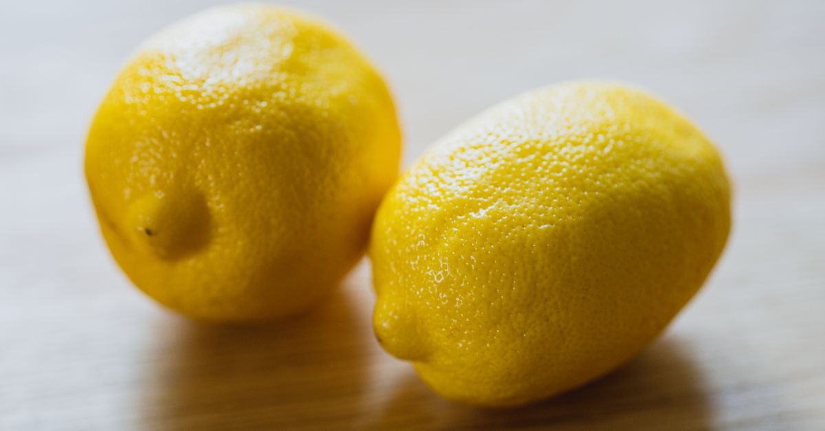 découvrez notre délicieux lemon fondant : un dessert au citron fondant en bouche, parfait pour les amateurs de saveurs acidulées et sucrées.