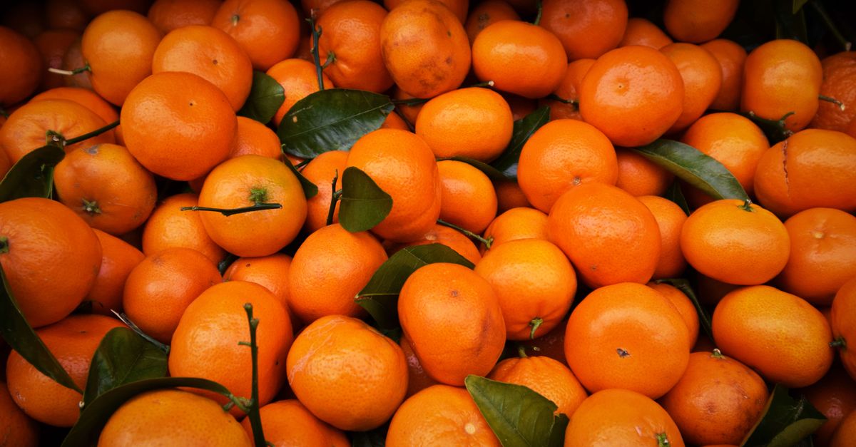 découvrez notre délicieux gâteau mandarine, moelleux et fruité, parfait pour toutes vos envies gourmandes.