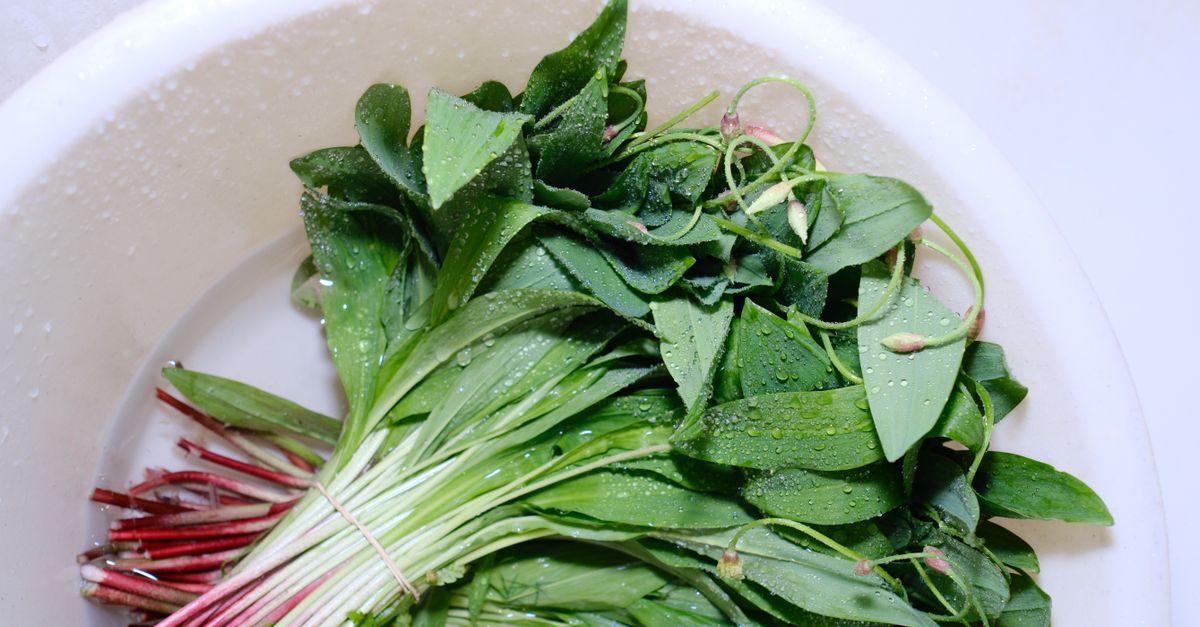découvrez des techniques parfaites pour cuisiner les légumes verts et sublimer leur goût et leurs bienfaits nutritionnels.