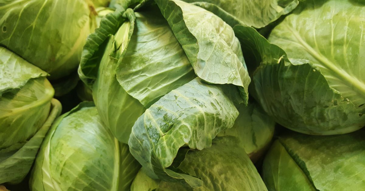 recette facile de chou vert cuit à l'autocuiseur pour un plat savoureux et rapide.