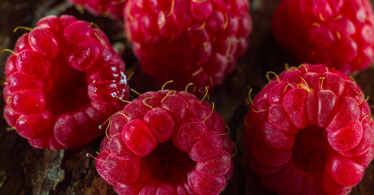 découvrez la recette parfaite du raspberry spritz, un cocktail rafraîchissant à base de framboises, idéal pour vos soirées d'été.